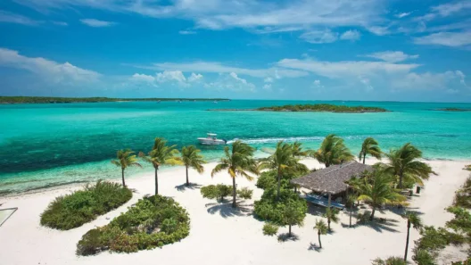 Aerial view of a secluded white sand beach with palm trees and turquoise waters in the Bahamas, perfect for luxury resort stays or island getaways.