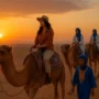 Camel caravan at sunset in the Moroccan desert near Marrakesh, with tourists riding camels and a local Berber guide leading the way.