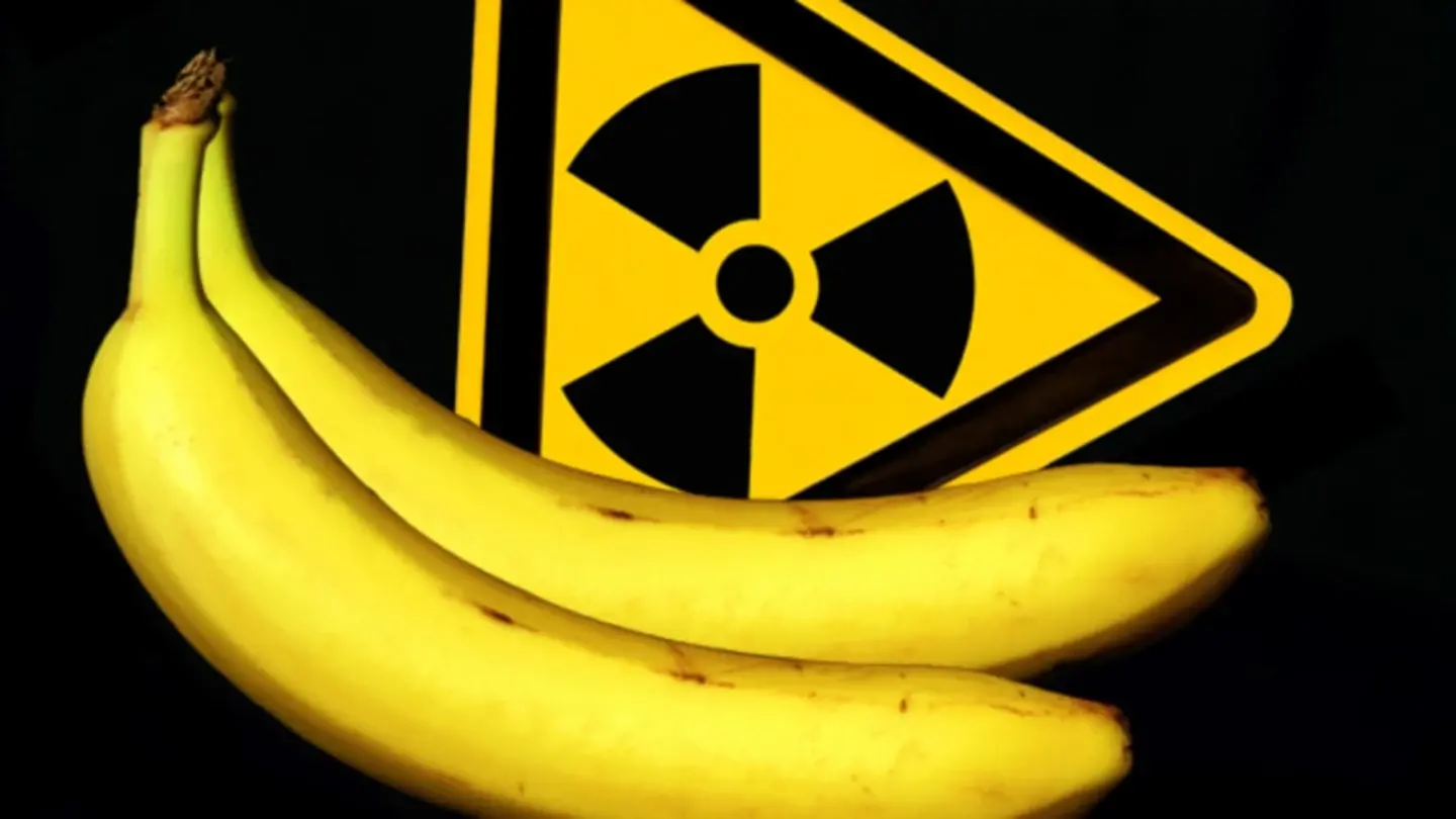Three yellow bananas placed in front of a bold black-and-yellow radiation warning sign, symbolizing the natural radioactivity found in bananas due to potassium-40.