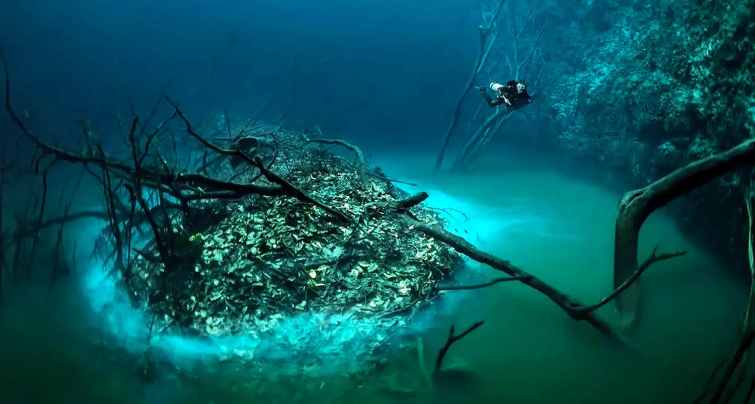 A diver swims above a submerged river in Cenote Angelita, Mexico, with misty hydrogen sulfide layer forming a ghostly current on the cenote floor.