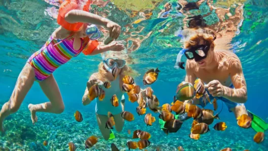 An underwater photo of a family enjoying a snorkeling adventure, feeding bright-colored fish in crystal-clear water in the Bahamas.