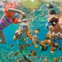 An underwater photo of a family enjoying a snorkeling adventure, feeding bright-colored fish in crystal-clear water in the Bahamas.