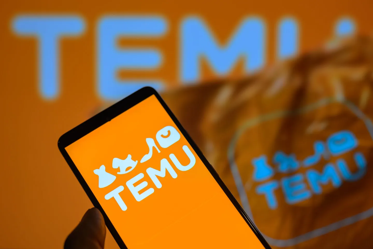 Temu app