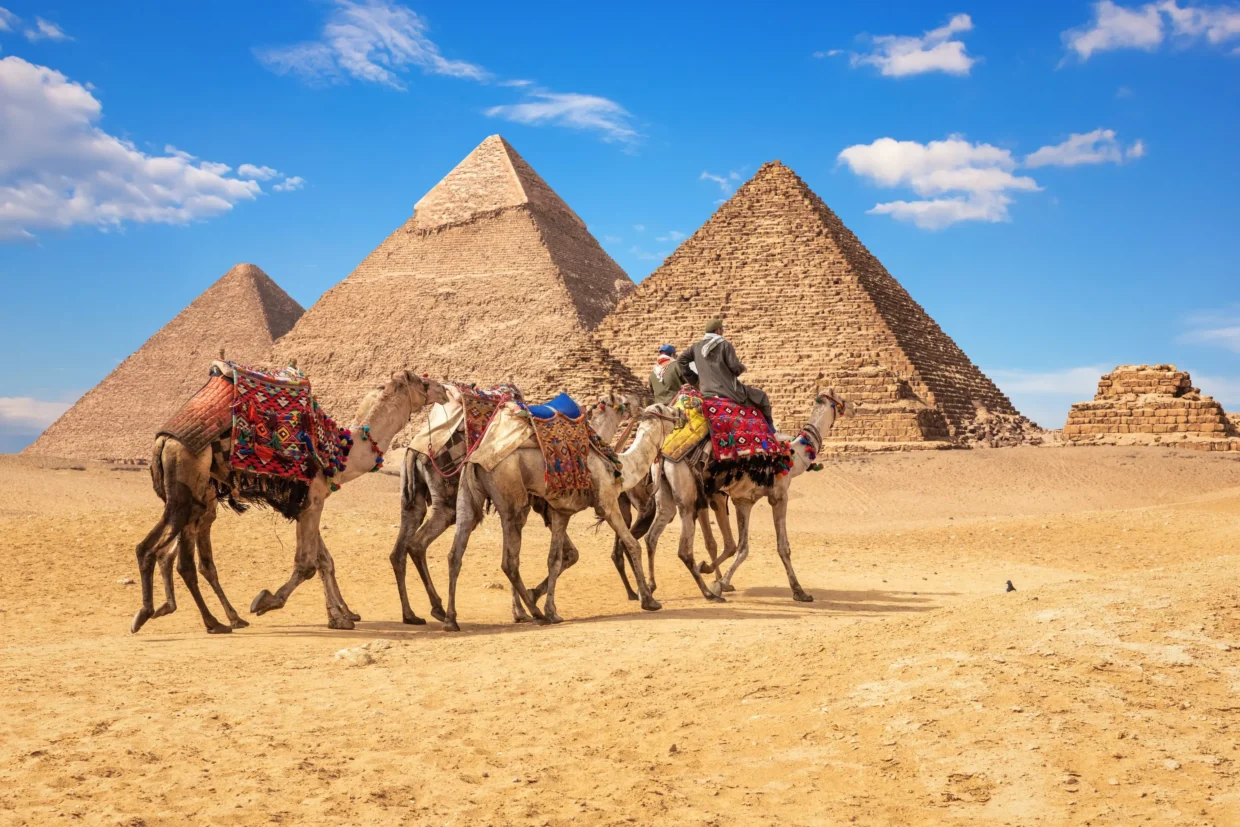 Colorful camels with riders passing in front of the Great Pyramids of Giza on a sunny day, showcasing classic Egyptian desert scenery and ancient wonders.