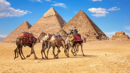 Colorful camels with riders passing in front of the Great Pyramids of Giza on a sunny day, showcasing classic Egyptian desert scenery and ancient wonders.