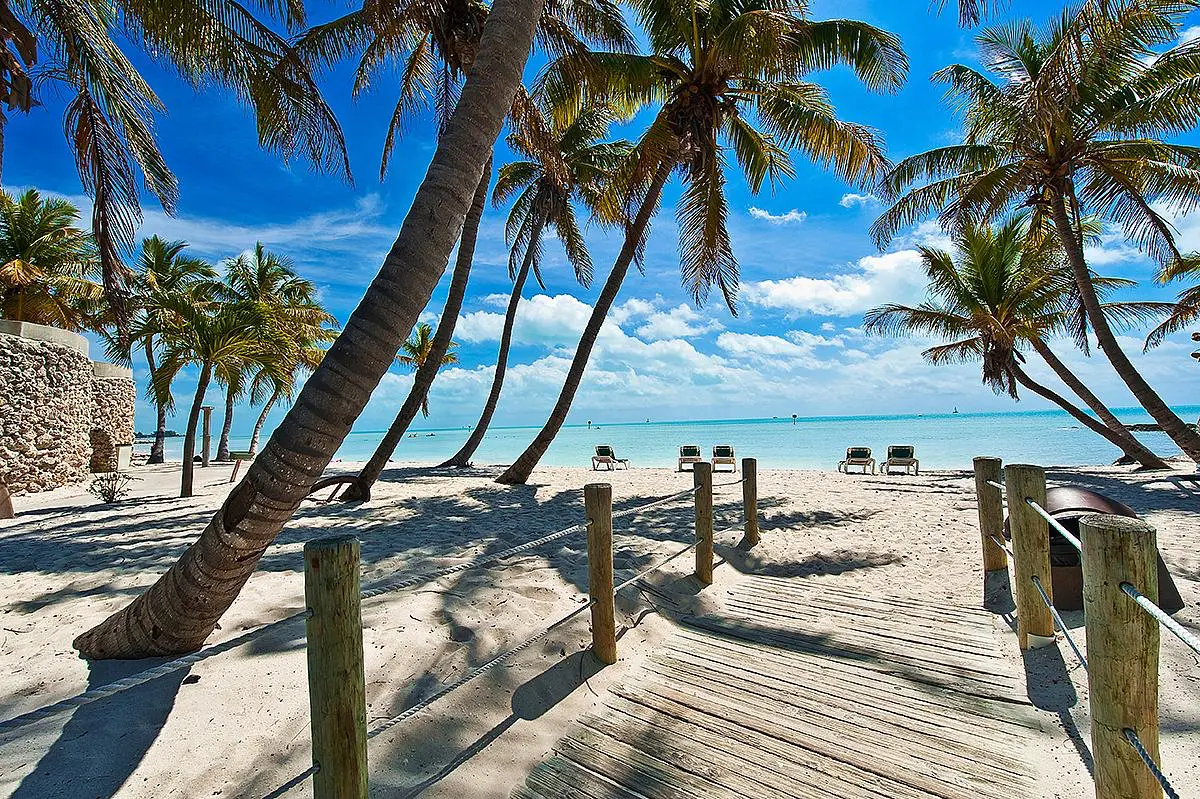 Tropical beach in Florida lined with palm trees and lounge chairs, overlooking turquoise waters on a sunny day with a few scattered clouds.