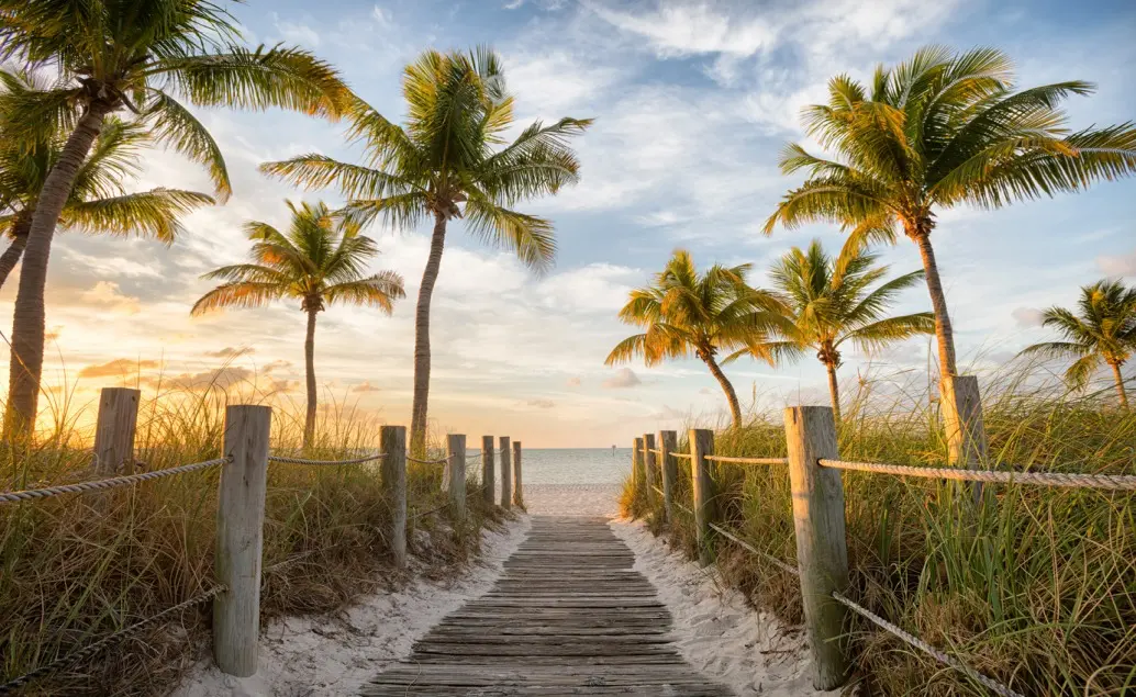 Wooden walkway leading to a tropical Florida beach at sunset, lined with palm trees and soft golden light in the sky.