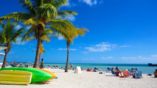Sunny Florida beach with palm trees, colorful kayaks, and tourists sunbathing under a clear blue sky.