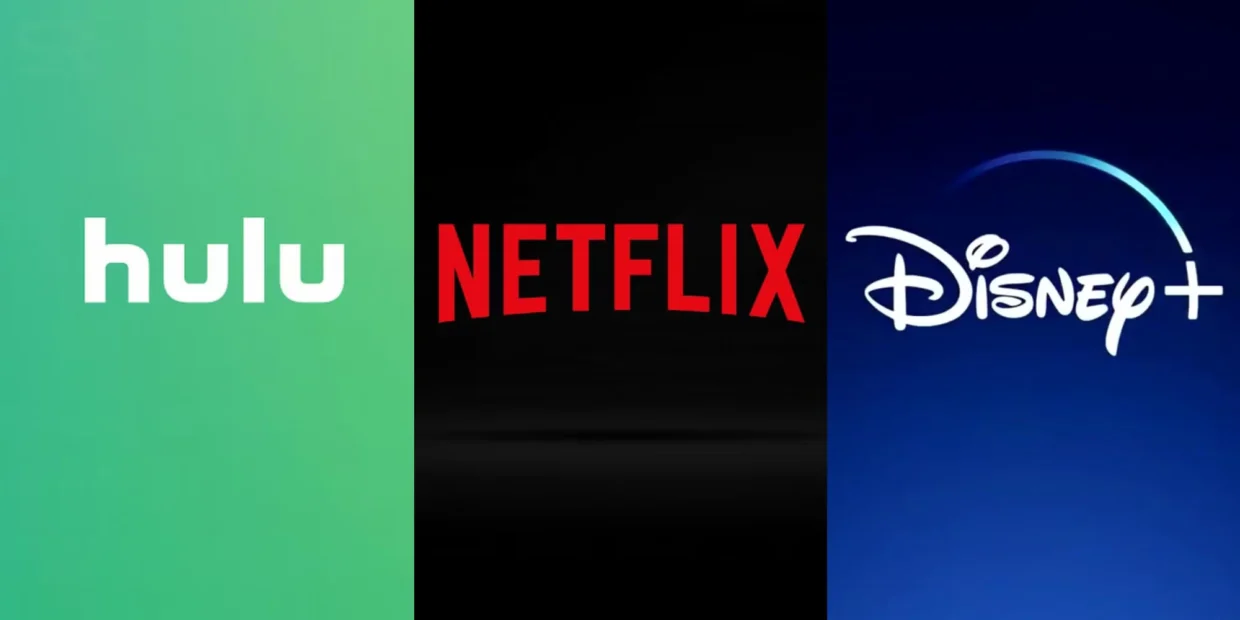 Logos of Hulu, Netflix, and Disney Plus side by side, representing popular streaming platforms.