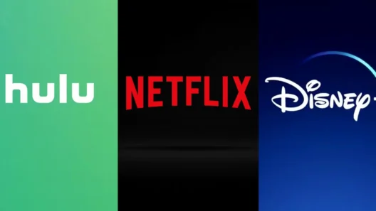 Logos of Hulu, Netflix, and Disney Plus side by side, representing popular streaming platforms.