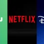 Logos of Hulu, Netflix, and Disney Plus side by side, representing popular streaming platforms.