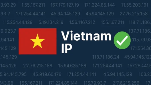 Vietnam IP address graphic with flag, checkmark, and IP numbers